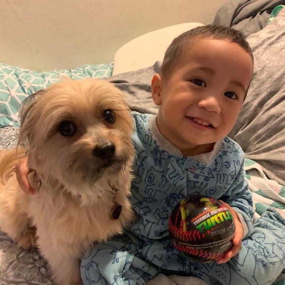 Meet your Posher, Sher - Picture 3 of 4